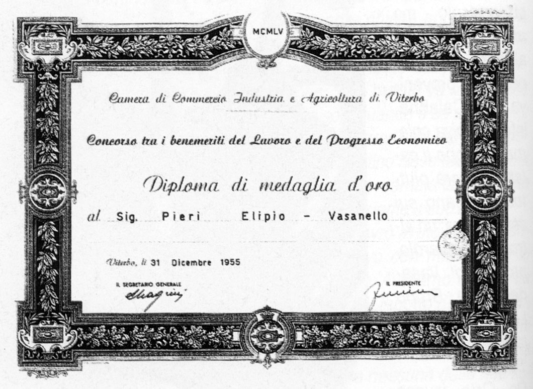 DIPLOMA.JPG (192143 byte)